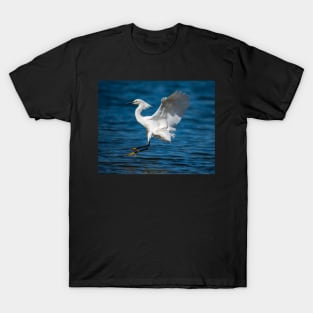 A Landing T-Shirt